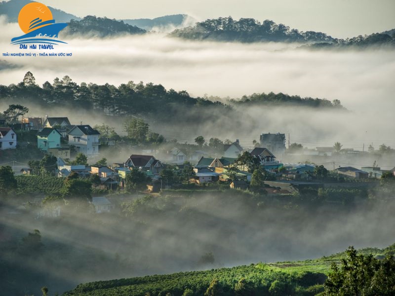 da lat 1