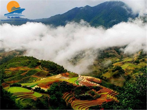 Hà Nội – Sapa – Cát Cát – Hàm Rồng
