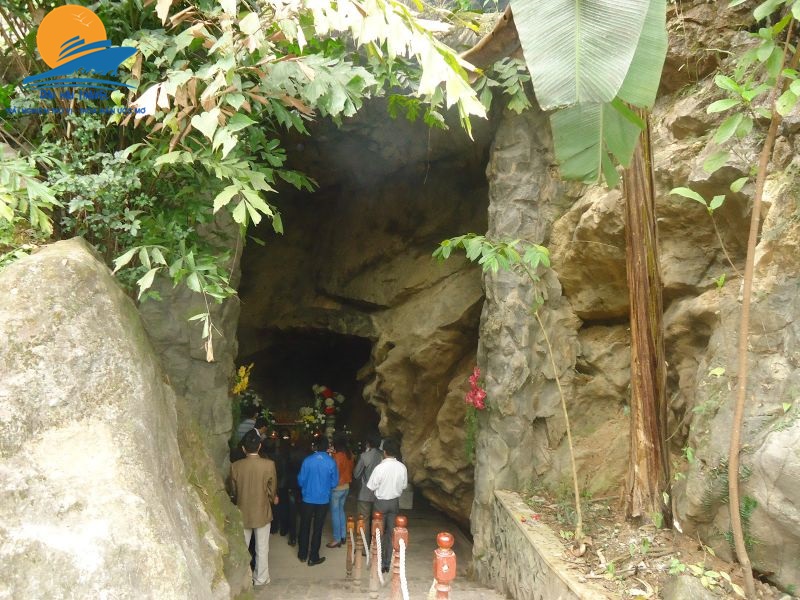 hang tam co