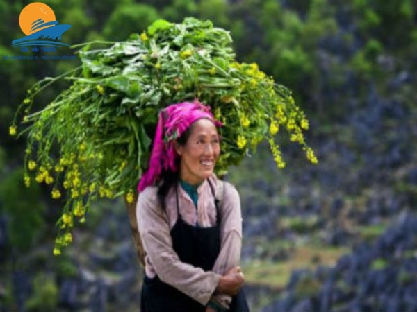 Du lịch Fansipan tham gia Lễ hội hoa Đỗ Quyên (3 ngày 2 đêm)
