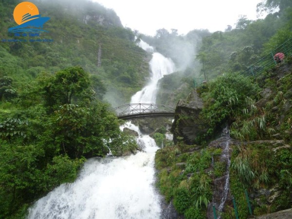 Du lịch Fansipan tham gia Lễ hội hoa Đỗ Quyên (3 ngày 2 đêm)