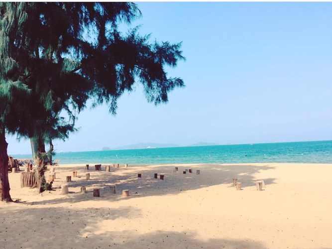 bai-dong-thien-duong-moi-cua-bien-thanh-hoa-co-gi-hap-dan-hinh-2