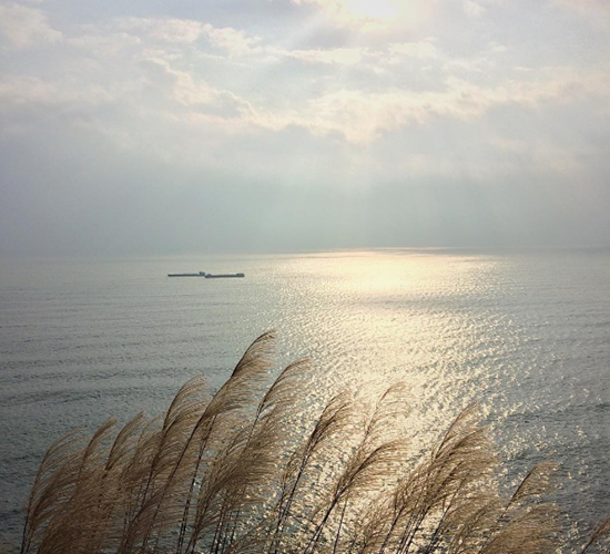 bai-dong-thien-duong-moi-cua-bien-thanh-hoa-co-gi-hap-dan-hinh-3