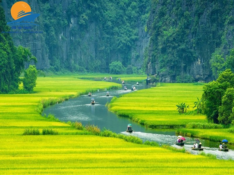 tam coc