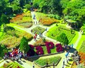 Hà Nội – Sapa – Cát Cát – Hàm Rồng