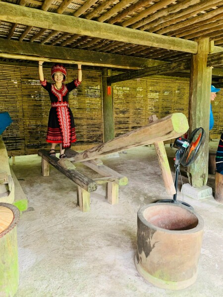 DU LỊCH SINH THÁI THÁI HẢI