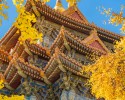 BẮC KINH – HÀNG CHÂU – Ô TRẤN – THƯỢNG HẢI