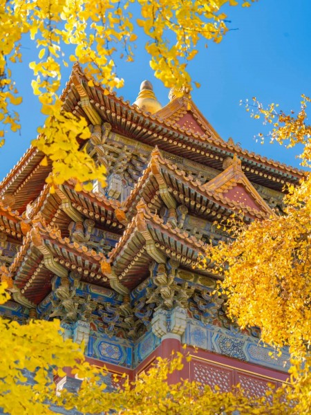 BẮC KINH – HÀNG CHÂU – Ô TRẤN – THƯỢNG HẢI
