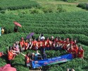 KHÁM PHÁ MỘC CHÂU MÙA HOA CẢI0
