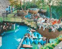 HÀ NỘI – BANGKOK – PATTAYA – HÀ NỘI