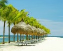 Nha Trang – Thành Phố Biển 4 Ngày + Vé Máy Bay0