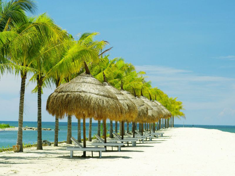 Nha Trang – Thành Phố Biển 4 Ngày + Vé Máy Bay0