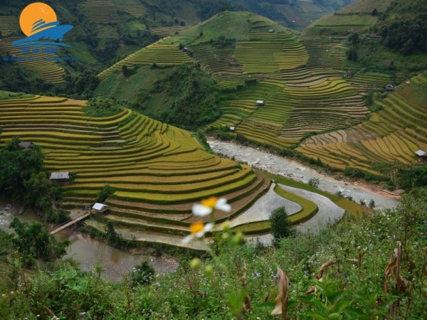 Mù Cang Chải – Tú Lệ – Khau Phạ – Bảo Hà