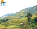 Mù Cang Chải – Tú Lệ – Khau Phạ – Bảo Hà