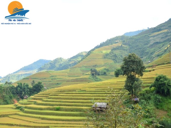 Mù Cang Chải – Tú Lệ – Khau Phạ – Bảo Hà