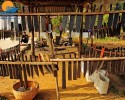 HÀ NỘI – HỒ BA BỂ – THÁC BẢN GIỐC ĐỘNG NGƯỜM NGAO – PÁC BÓ – HÀ NỘI