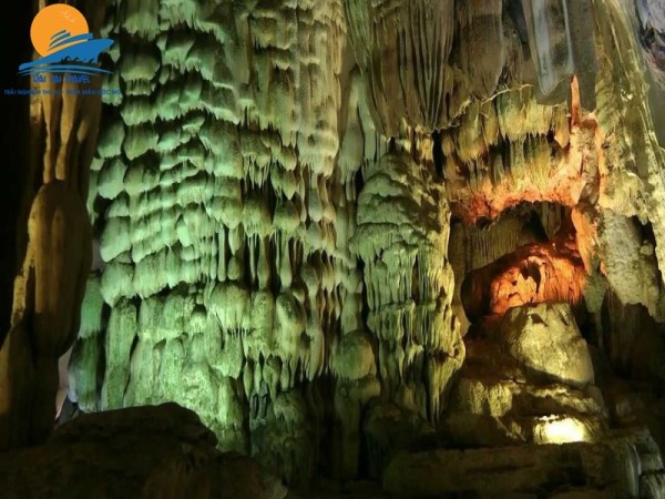 HÀ NỘI – BIỂN NHẬT LỆ – ĐỘNG PHONG NHA – ĐỘNG THIÊN ĐƯỜNG – HÀ NỘI