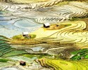 Mù Cang Chải – Tú Lệ – Khau Phạ – Bảo Hà