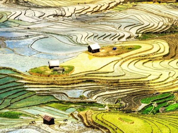 Mù Cang Chải – Tú Lệ – Khau Phạ – Bảo Hà