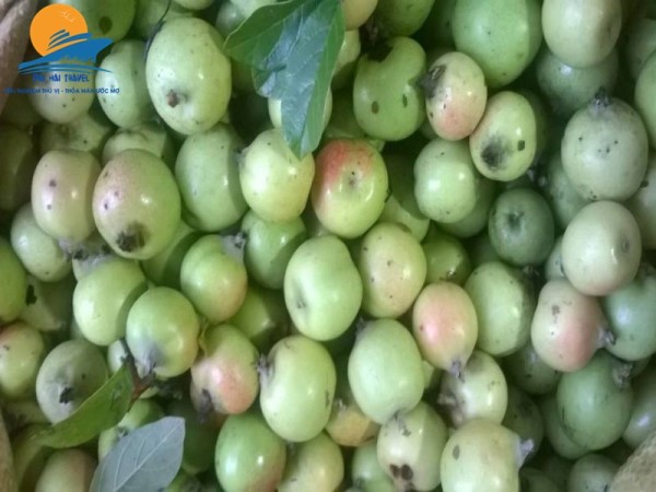 Mù Cang Chải – Tú Lệ – Khau Phạ – Bảo Hà