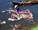 Khám phá miền Tây mùa nước nổi: Thành phố Hồ Chí Minh – Đồng Tháp – An Giang – Châu Đốc