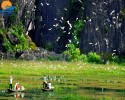 TOUR HÀ NỘI – VÂN LONG – KÊNH GÀ – ĐỘNG VÂN TRÌNH0