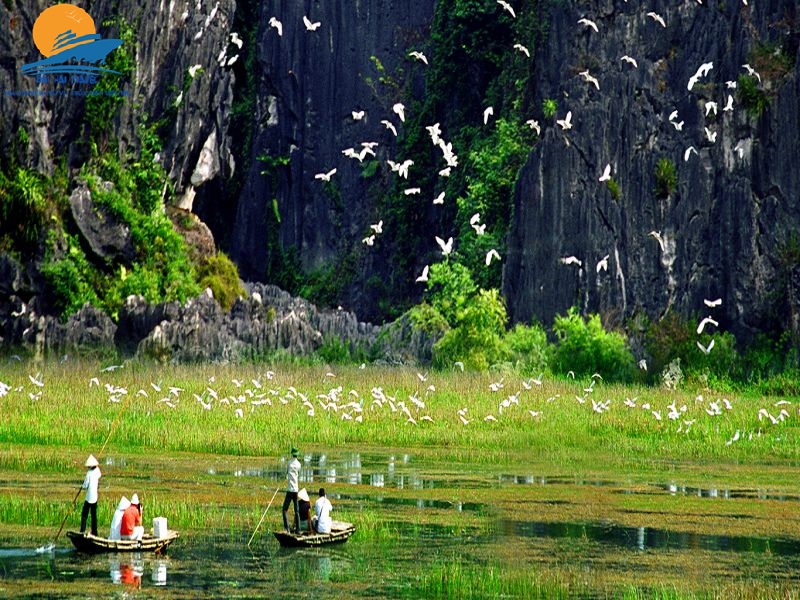 TOUR HÀ NỘI – VÂN LONG – KÊNH GÀ – ĐỘNG VÂN TRÌNH0