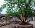 HÀ NỘI – ĐIỆN BIÊN PHỦ – SƠN LA
