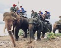 Tour trải nghiệm Tây Nguyên