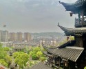 HÀ NỘI – TRƯƠNG GIA GIỚI – PHƯỢNG HOÀNG CỔ TRẤN – HÀ NỘI