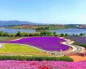 HÀ NỘI – BÌNH BIÊN – DI LẶC – KIẾN THUỶ – KHAI VIỄN – MÔNG TỰ