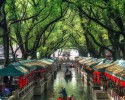 DU NGOẠN GIANG NAM – TRUNG QUỐC HÀ NỘI – THƯỢNG HẢI – HÀNG CHÂU – TÔ CHÂU – Ô TRẤN – VÔ TÍCH