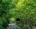DU NGOẠN GIANG NAM – TRUNG QUỐC HÀ NỘI – THƯỢNG HẢI – HÀNG CHÂU – TÔ CHÂU – Ô TRẤN – VÔ TÍCH