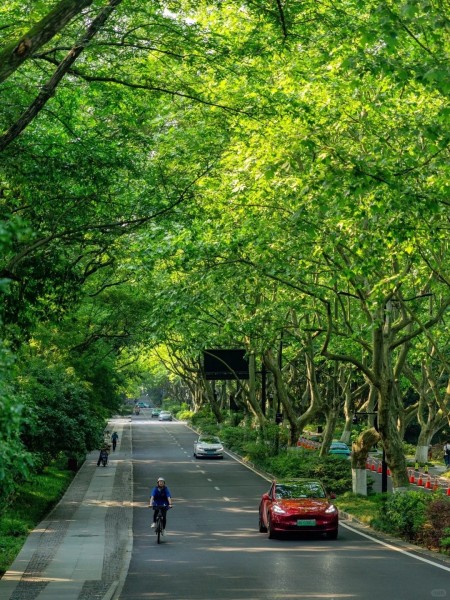 DU NGOẠN GIANG NAM – TRUNG QUỐC HÀ NỘI – THƯỢNG HẢI – HÀNG CHÂU – TÔ CHÂU – Ô TRẤN – VÔ TÍCH