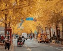 DU NGOẠN GIANG NAM – TRUNG QUỐC HÀ NỘI – THƯỢNG HẢI – HÀNG CHÂU – TÔ CHÂU – Ô TRẤN – VÔ TÍCH